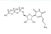 CAS號(hào)：112131-73-4，Aminoallyl-UTP，氨基烯丙基尿苷三磷酸