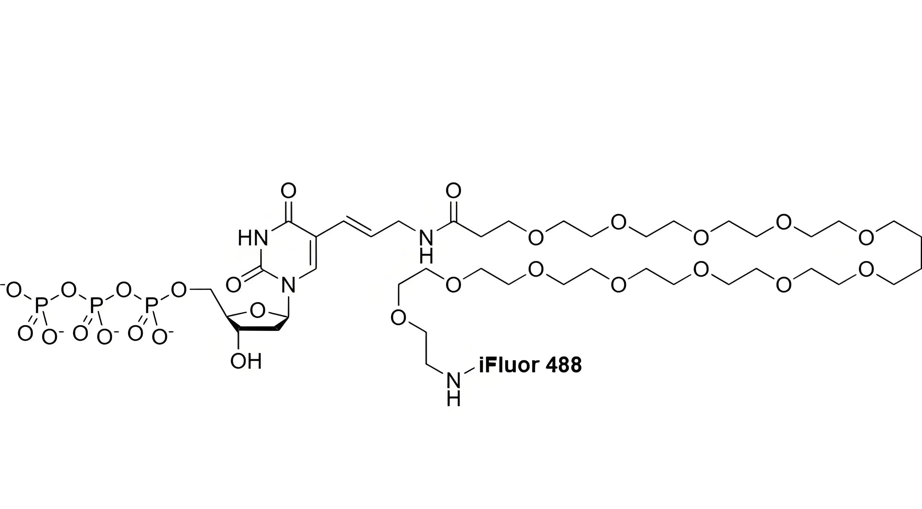 iFluor488-PEG12-dUTP，iFluor488-十二聚乙二醇-脫氧尿苷三磷酸在反應(yīng)體系中的溶解穩(wěn)定性解析