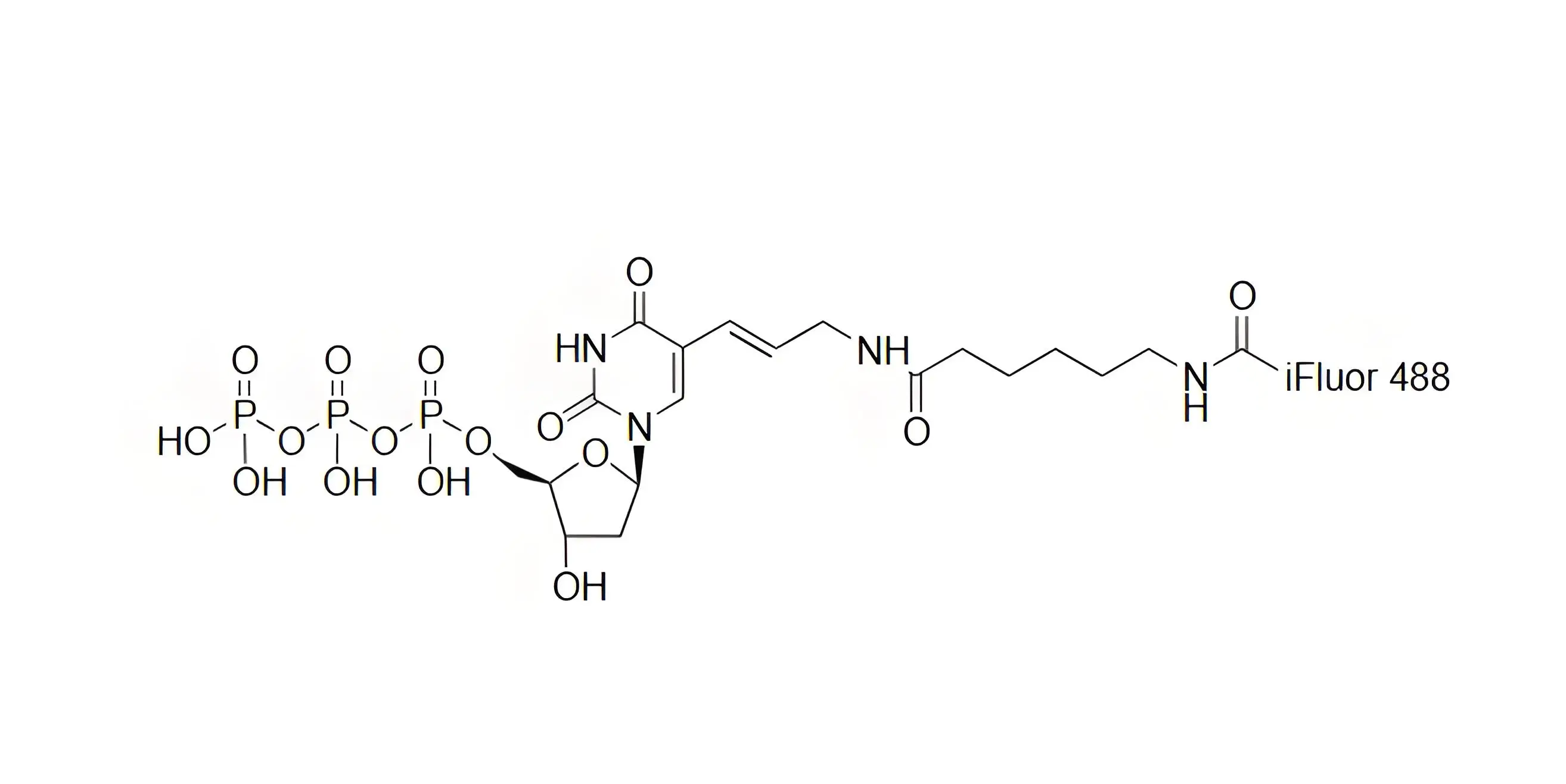 iFluor488-dUTP，iFluor488-脫氧尿苷三磷酸在PCR和逆轉(zhuǎn)錄中的表現(xiàn)