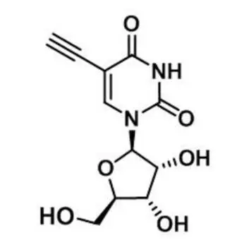 5-Ethynyluridine，5-EU，69075-42-9，核心結(jié)構(gòu)特點(diǎn)是在尿苷的5位碳上引入了一個(gè)乙炔基