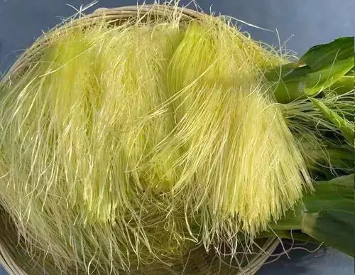 痛風(fēng)食療指南！8種低嘌呤食物建議常吃，溫和緩解不適少?gòu)?fù)發(fā)